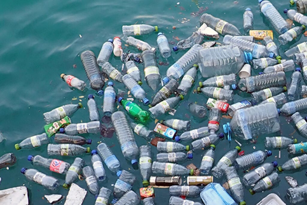 Plastic Water Bottle Pollution
