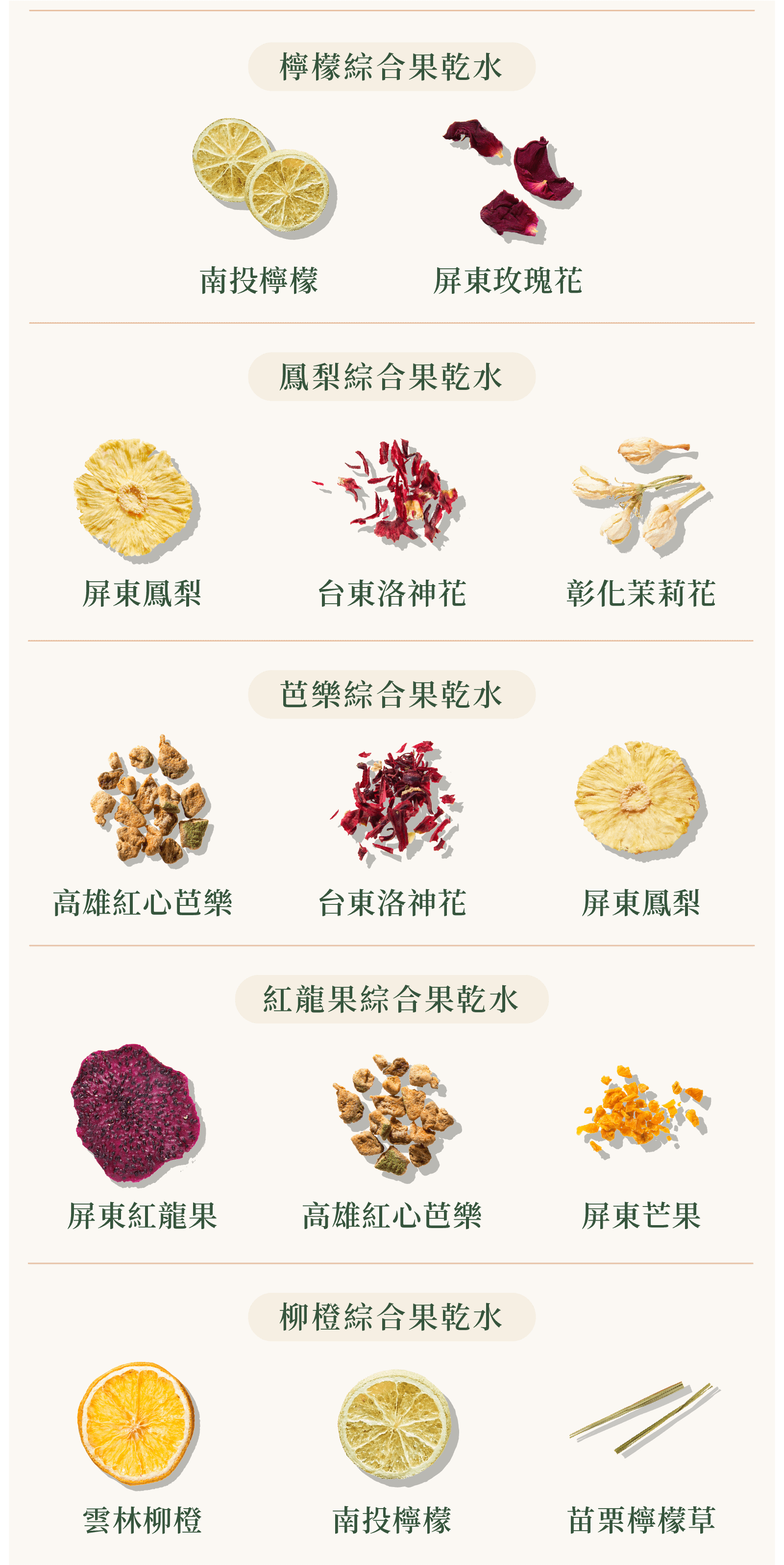 台灣果乾水綜合體驗組10入搭配的果乾風味