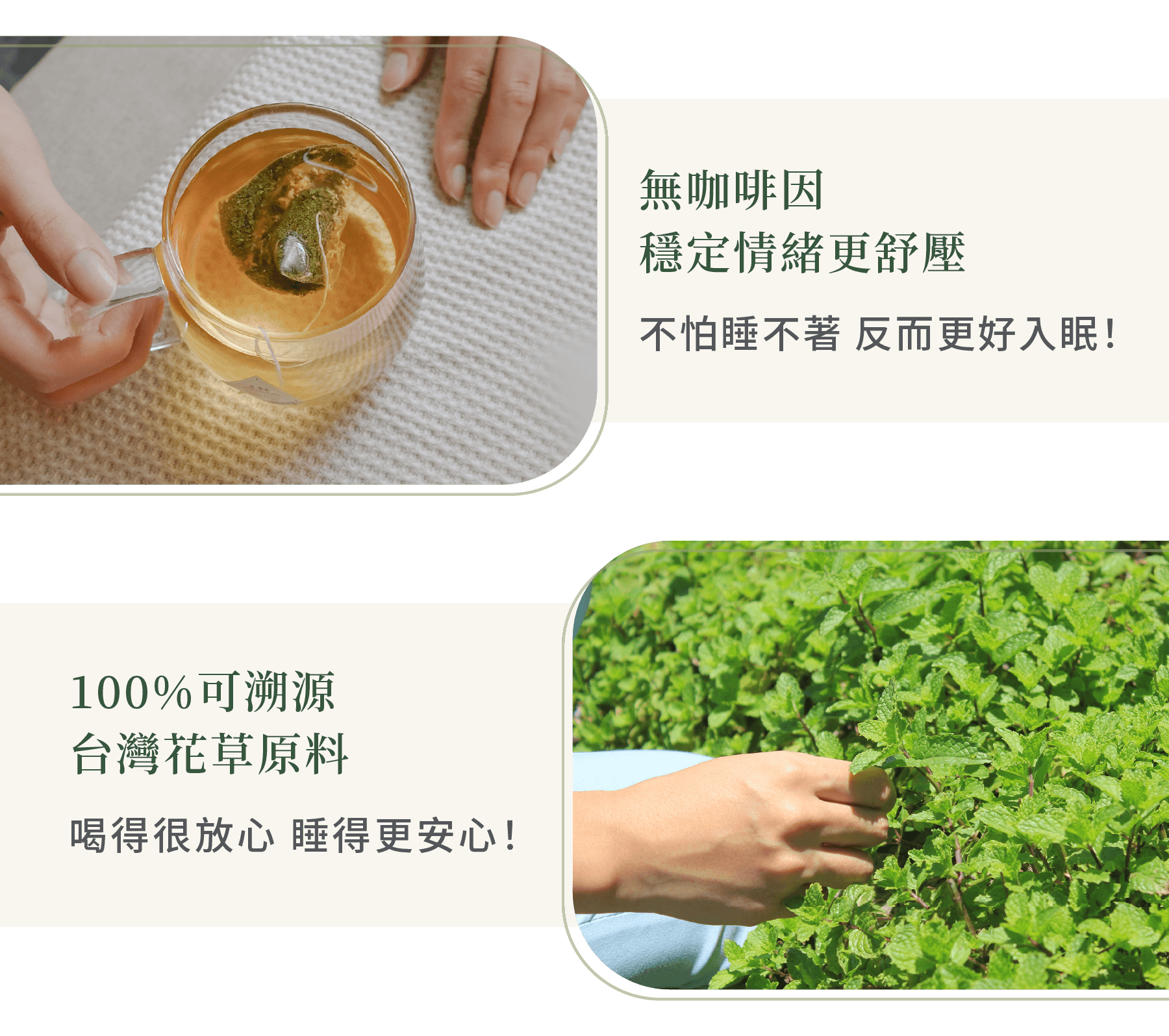 喝了不怕睡不著的無咖因花草茶