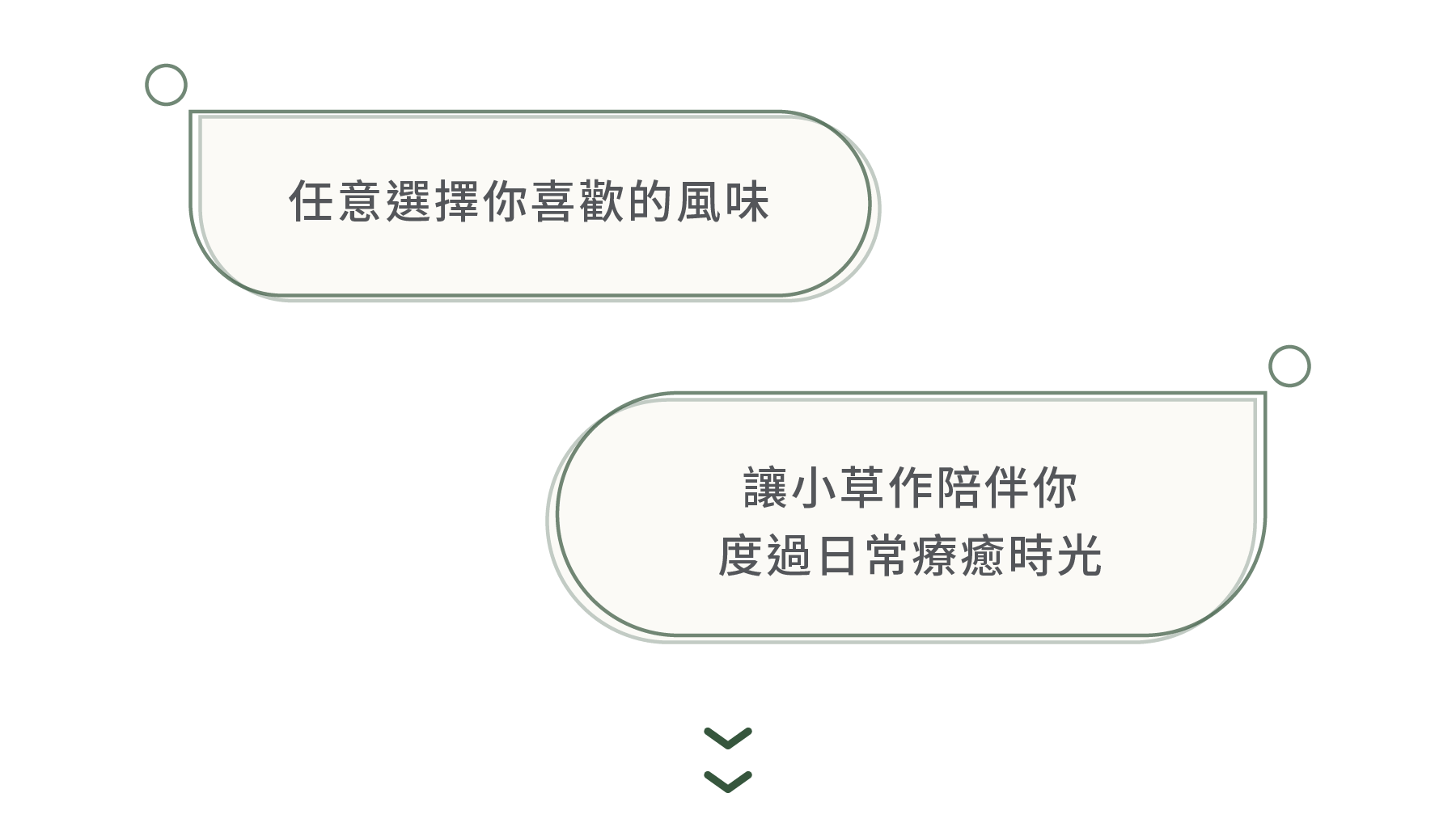 任意選擇你喜歡的風味，小草作陪伴你度過日常療癒的時光