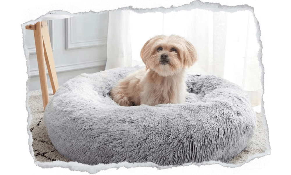 calming-dog-bed-6