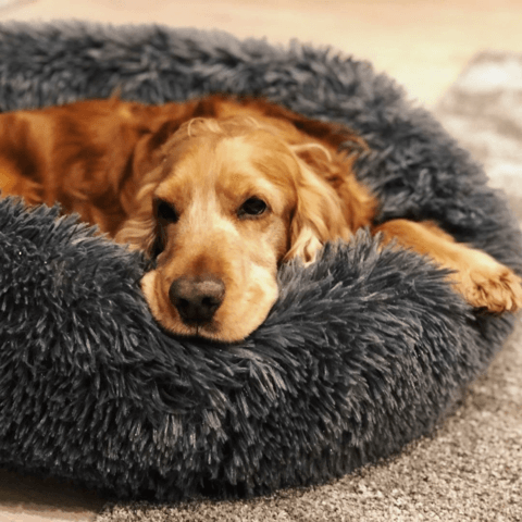 calming-dog-bed-uk