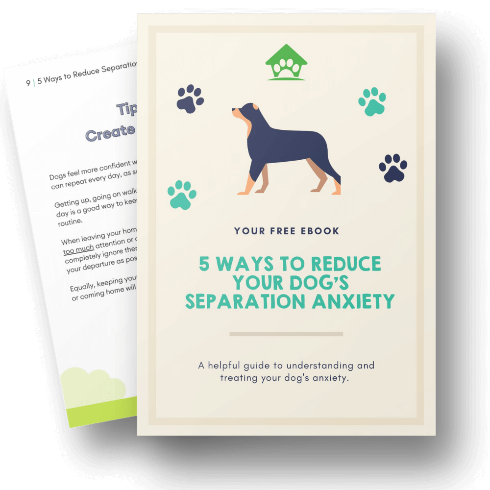 separation-anxiety-ebook