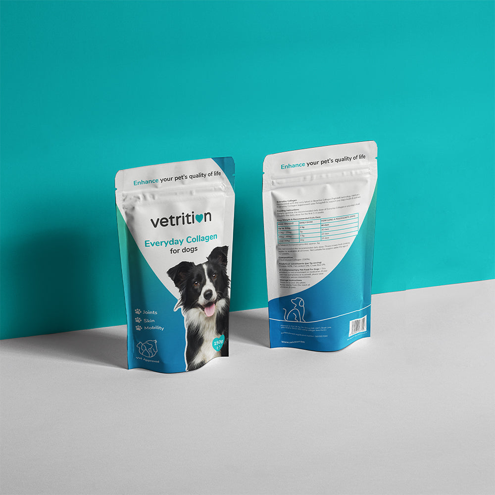 Everyday Collagen for dogs