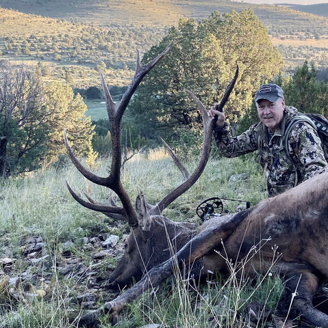 bull elk with iron will