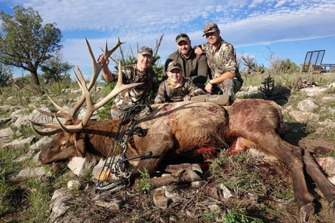 New Mexico bull elk