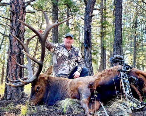 Best Broadhead for Giant Bull Elk