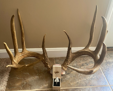 Best Broadheads for Big Whitetail