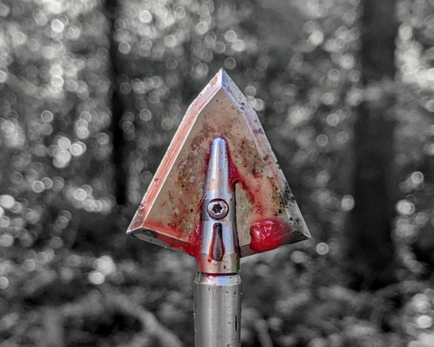Best Broadhead for Traditional Bow Hunting
