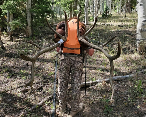 Utah Bull Elk Bow Hunt