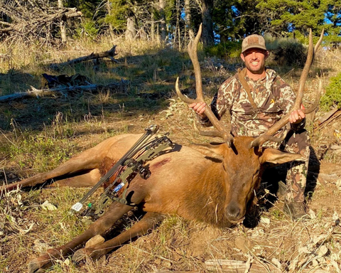 over the counter bull elk with Iron Will