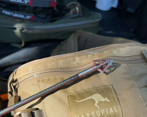 Successful Arrow for Setup for Elk