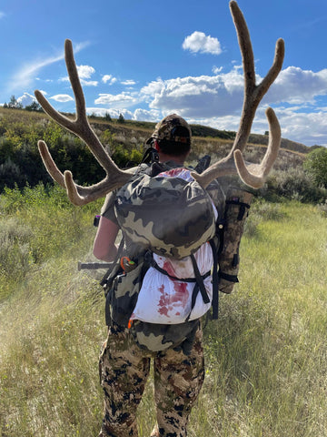 Velvet Mule Deer Rack from Bow Hunt