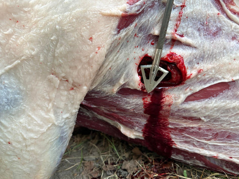 Wide broadhead exit wound channel
