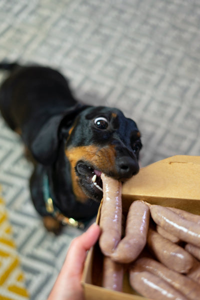 Dog Stealing Sausages