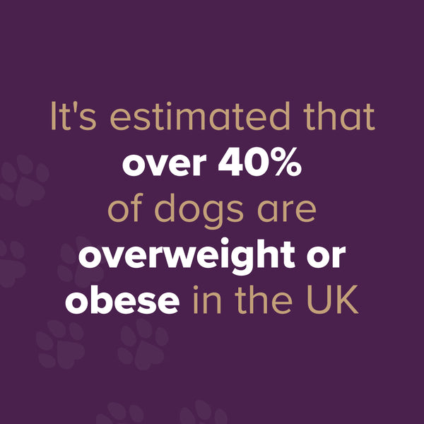 40% of dogs are overweight in the UK