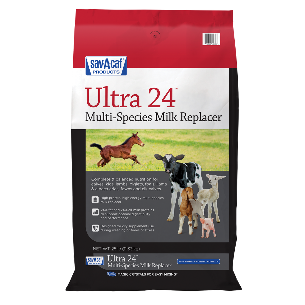 Ultra 24™ Multi-Species Milk Replacer | Sav-A-Caf®