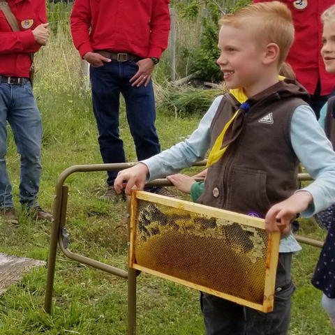 Holding a frame of honey from a beehive
