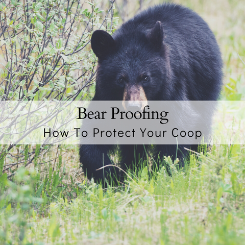 How To Bear Proof A Coop