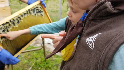 Bee Keeping Okanagan