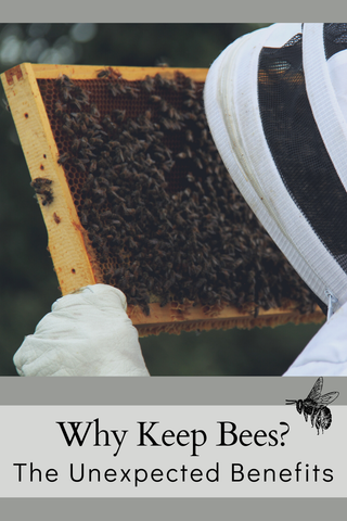 Reasons to keep bees