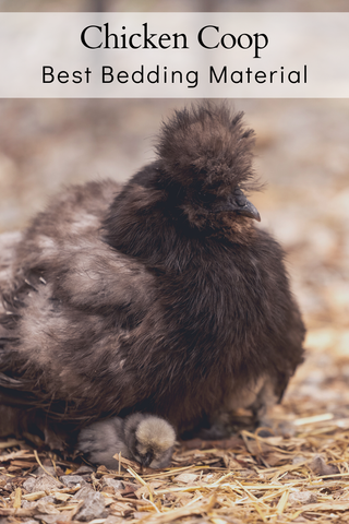 Best bedding for a chicken coop