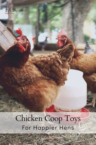 Best Chicken Coop Toys