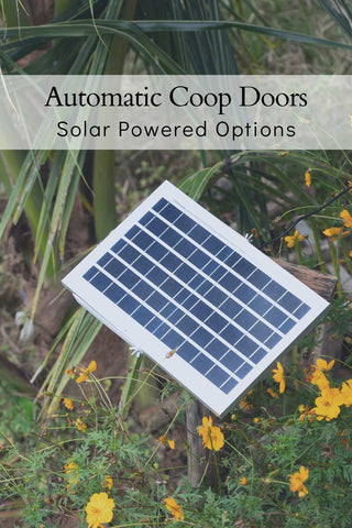 Solar Powered Chicken Coop Doors