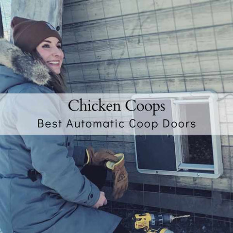 Woman installing an automatic chicken coop door