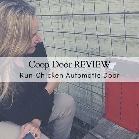 Automatic Coop Door Review