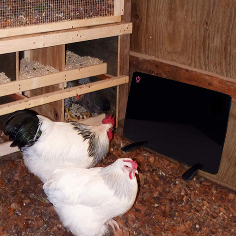 Chicken Coop Heater