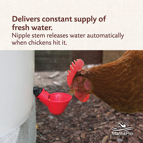 Chicken Water Source