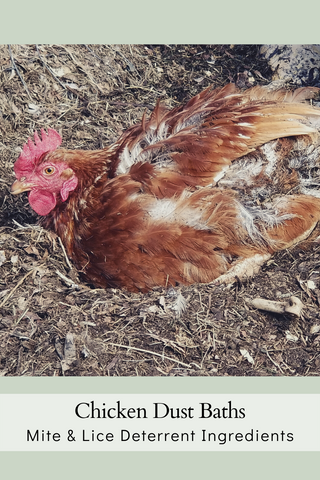 Chicken Dust Bath Ingredients