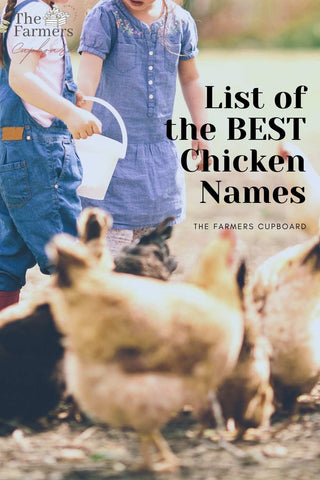 Chicken Names