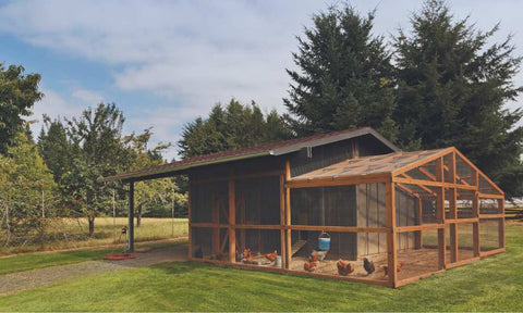 Automatic chicken coop