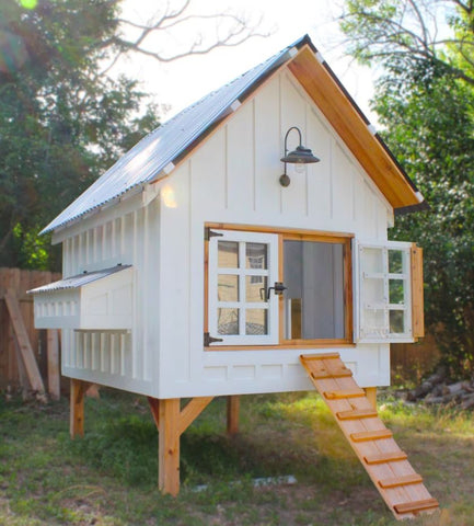 chicken coop door open