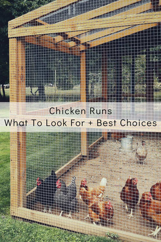 Choose a chicken run for a chicken coop