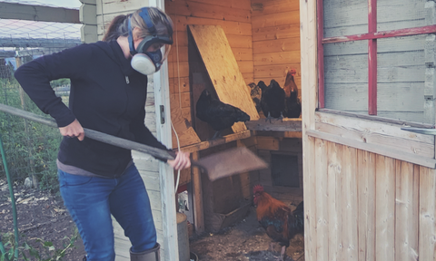 Cleaning A Coop Out