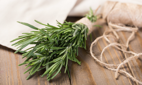 Rosemary cuttings in Water