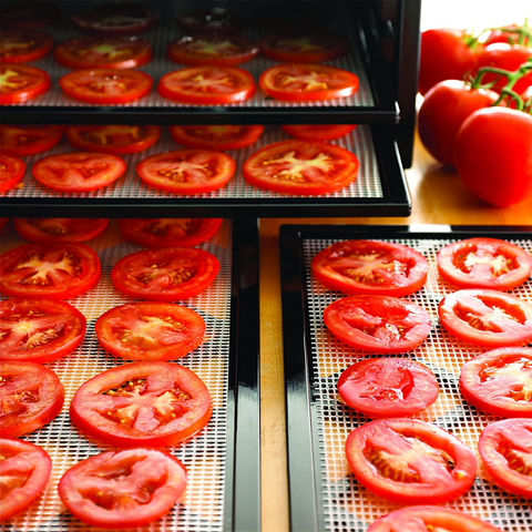 Fruit dehydrator for tomatoes