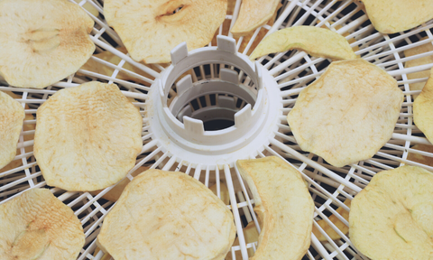 Drying Apple Chips