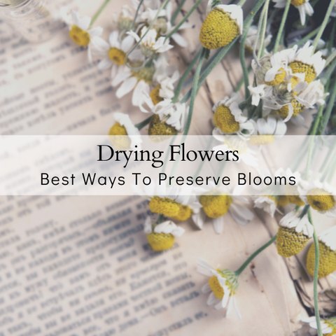 How To Dry Out Flowers