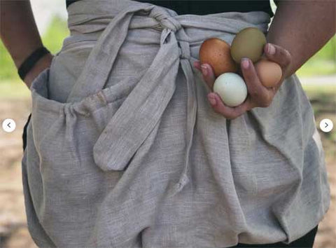 Egg collecting apron