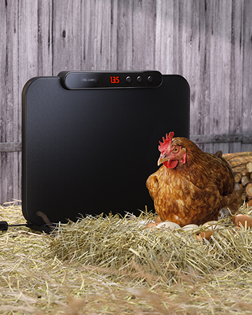 Best Chicken Coop Heater Style