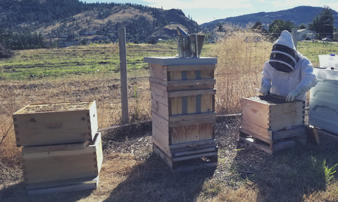 Bee Keeping Gift Ideas