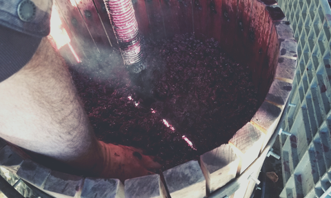 Pressing Grapes For Wine