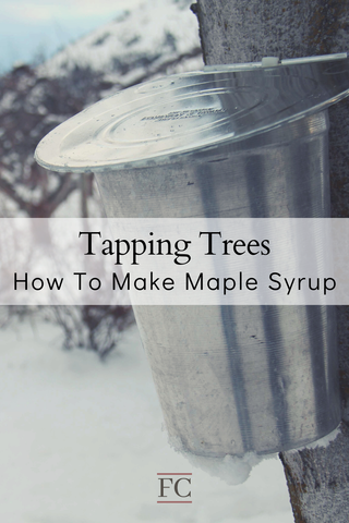 Tree Tapping Supplies