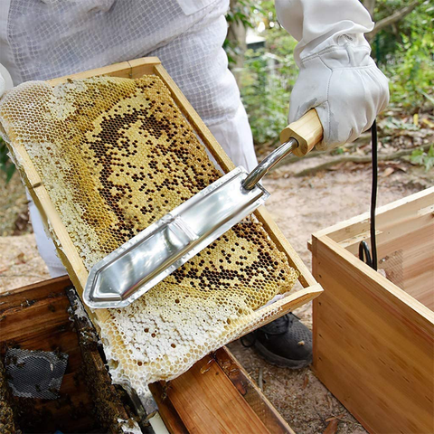 37 Buzz-Worthy Gifts For Beekeepers Guaranteed To Help Their Hives Thrive