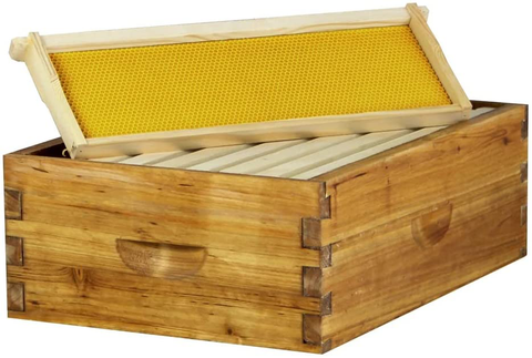 Honey Super Box