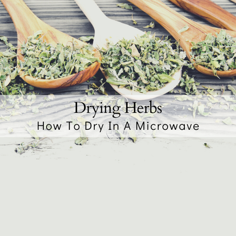 Drying herbs in a microwave oven